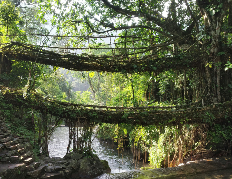 cherrapunji